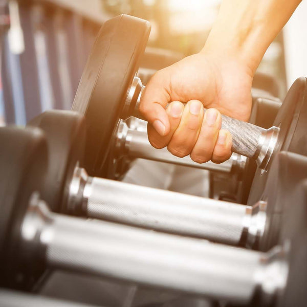 Fitness Equipment