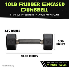 Rubber Dumbbell Single Piece Strength Training Equipment