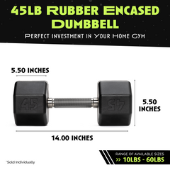 Rubber Dumbbell Single Piece Strength Training Equipment