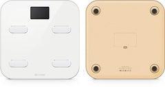 International Smart Digital Body Fat Weight Scale
