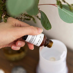 Essential Oil Diffuser Blends Aromatherapy Home Fragrance Collection