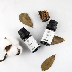 Aromatherapy Essential Oils For Oil Burners Home Fragrance